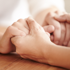 Strategic Plan Read about our Strategic Plan